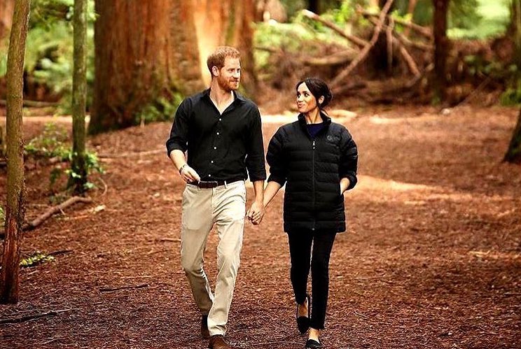 meghan markle got harry the sweetest 3rd father's day gift!