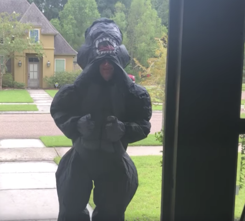 High School Senior Wins Major Big Brother Points For This Super Sweet Daily Ritual | Noah came up with the idea of greeting Max every day at the bus stop wearing a different, silly costume.
