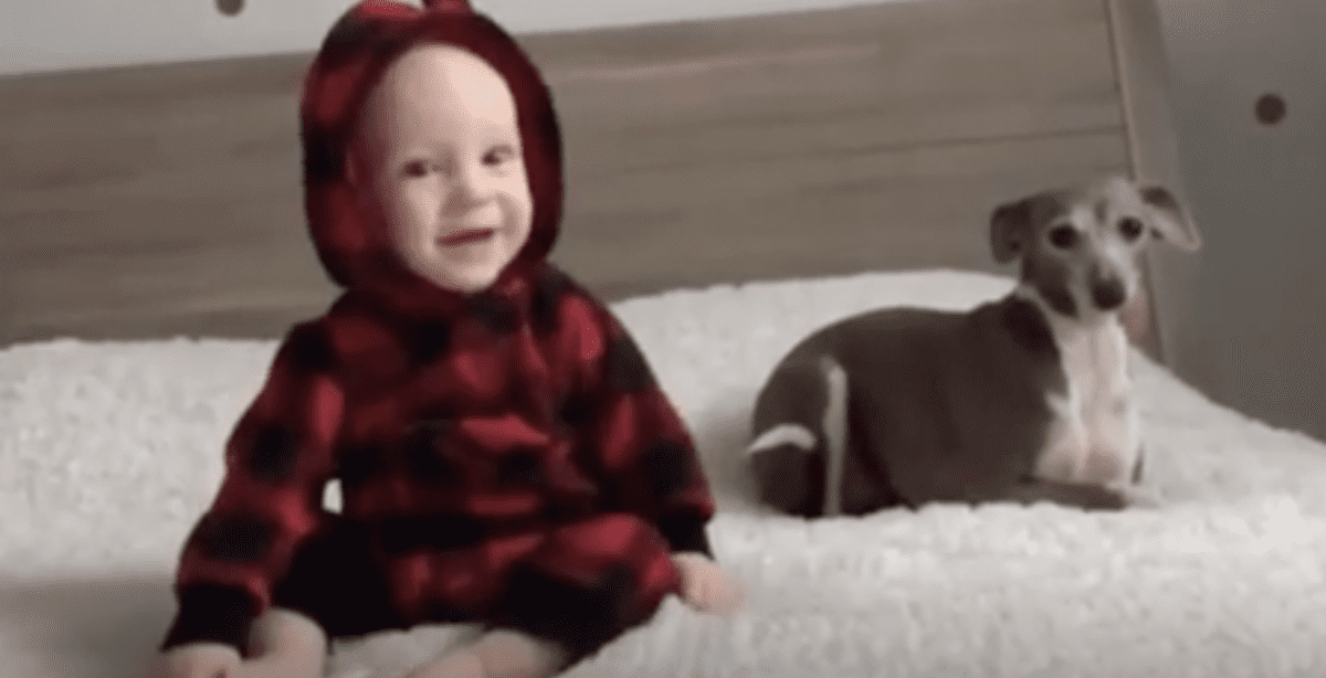 This dog-baby friendship is everything