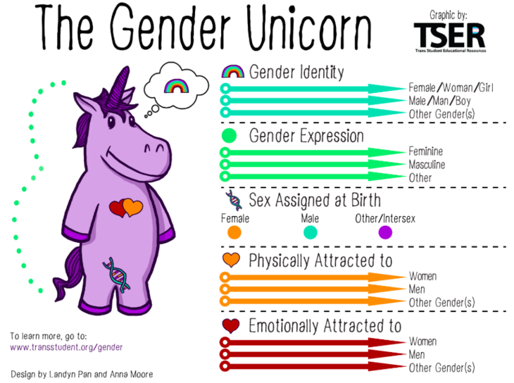 the gender unicorn worksheet