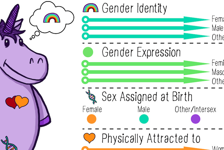 Gender Unicorn Worksheet
