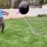 Couple's Gender Reveal Turns Into a Series of Hilariously Unfortunate Events That Has Everyone Laughing at Their Expense