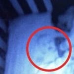 Mom Spots a Ghost Baby in Her Son's Crib, Eventually Solves a Hilarious Mystery
