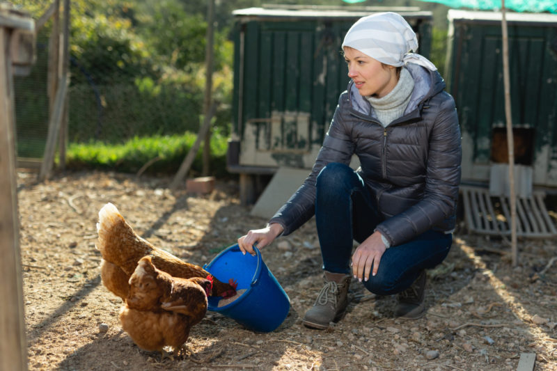 Mother-in-Law Surprises Son & Wife By Moving Next Door; Leaves Them To Take Care of Her House & Chickens For Months