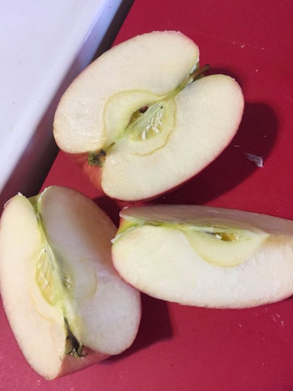 i thought i kept seeing white mold in the core of my apples, so of course i had to look it up