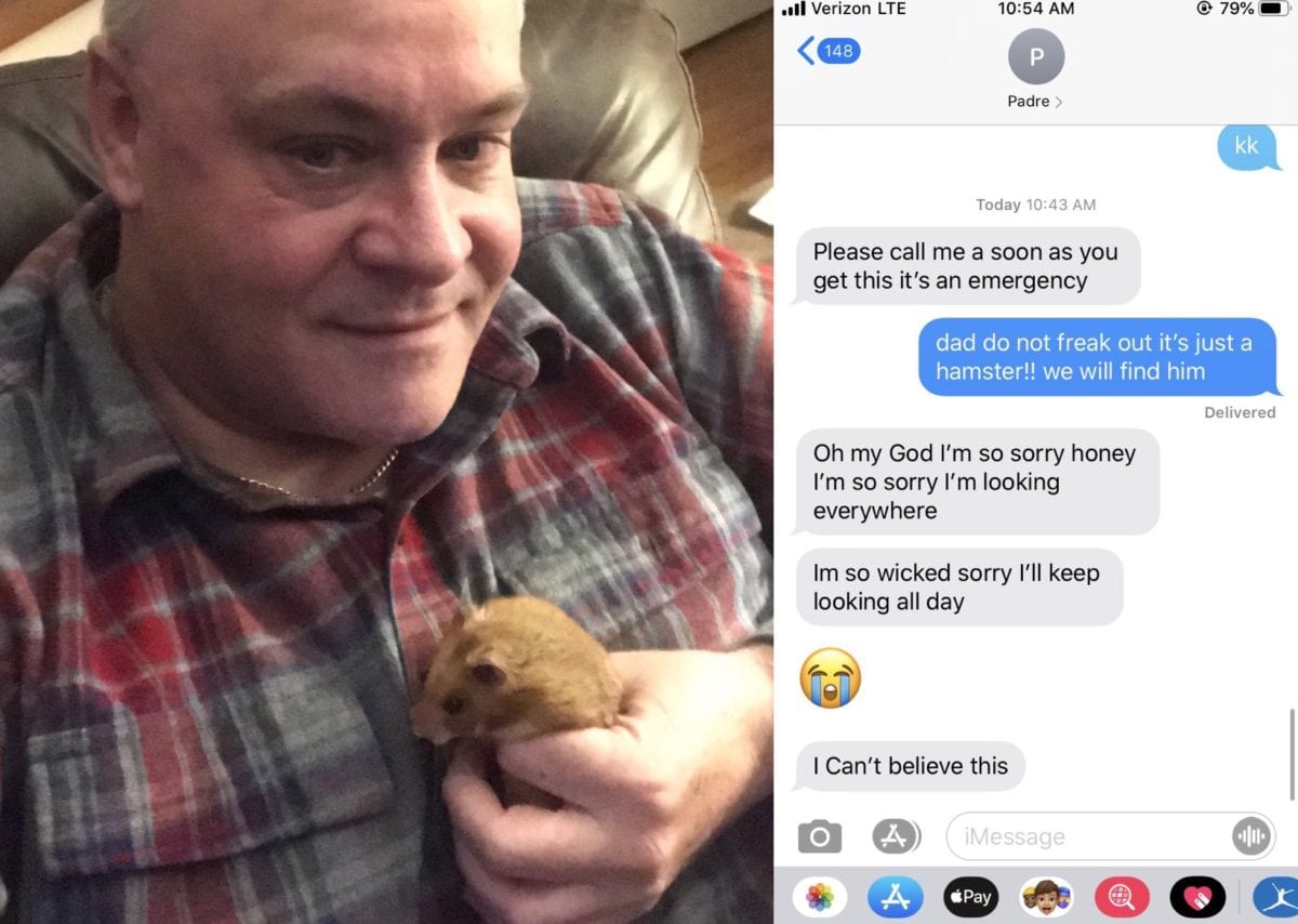 Dad's Meltdown After Losing His Daughter's Pet Hamster Goes Viral