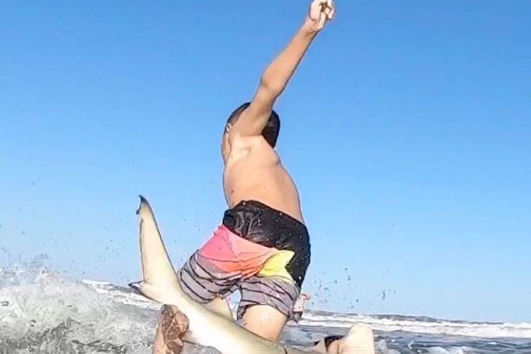 Watch This Wild GoPro Footage of a Shark Knocking a 7-Year-Old Boy Off His Surfboard