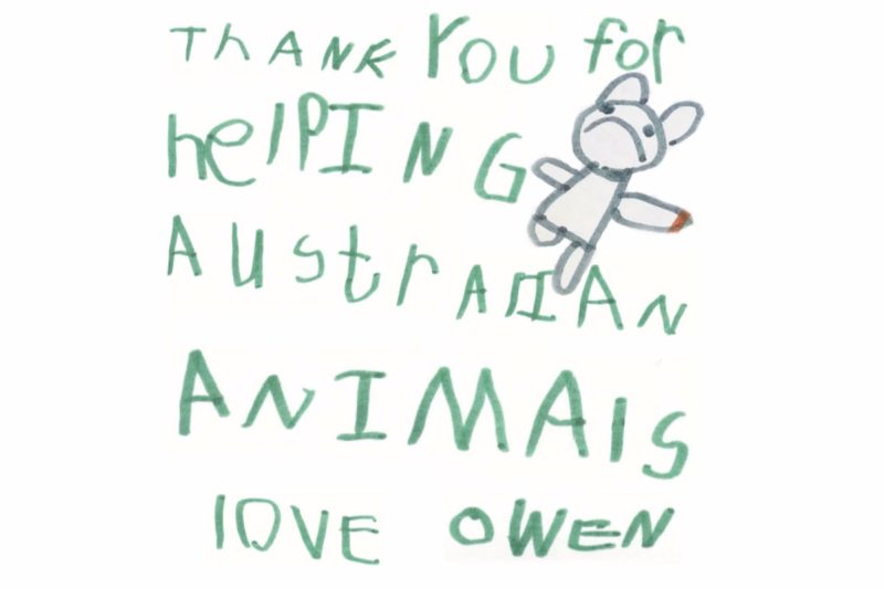 Owen Colley: 6-Year-Old Boy Has Raised Nearly $150,000 For Australia's Wildlife By Selling Adorable Clay Koalas