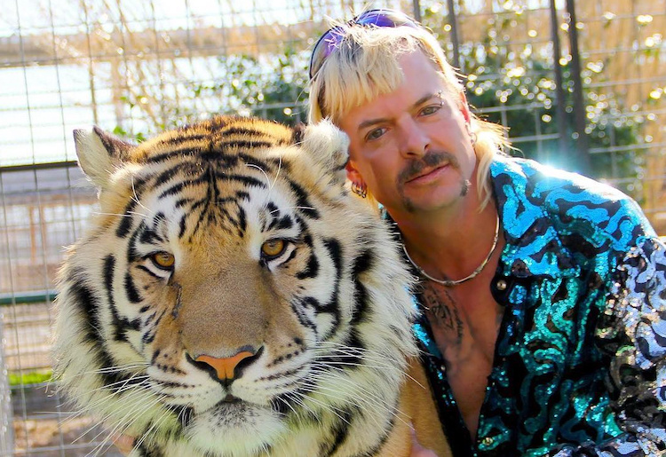 Joe Exotic Tiger King Celebs