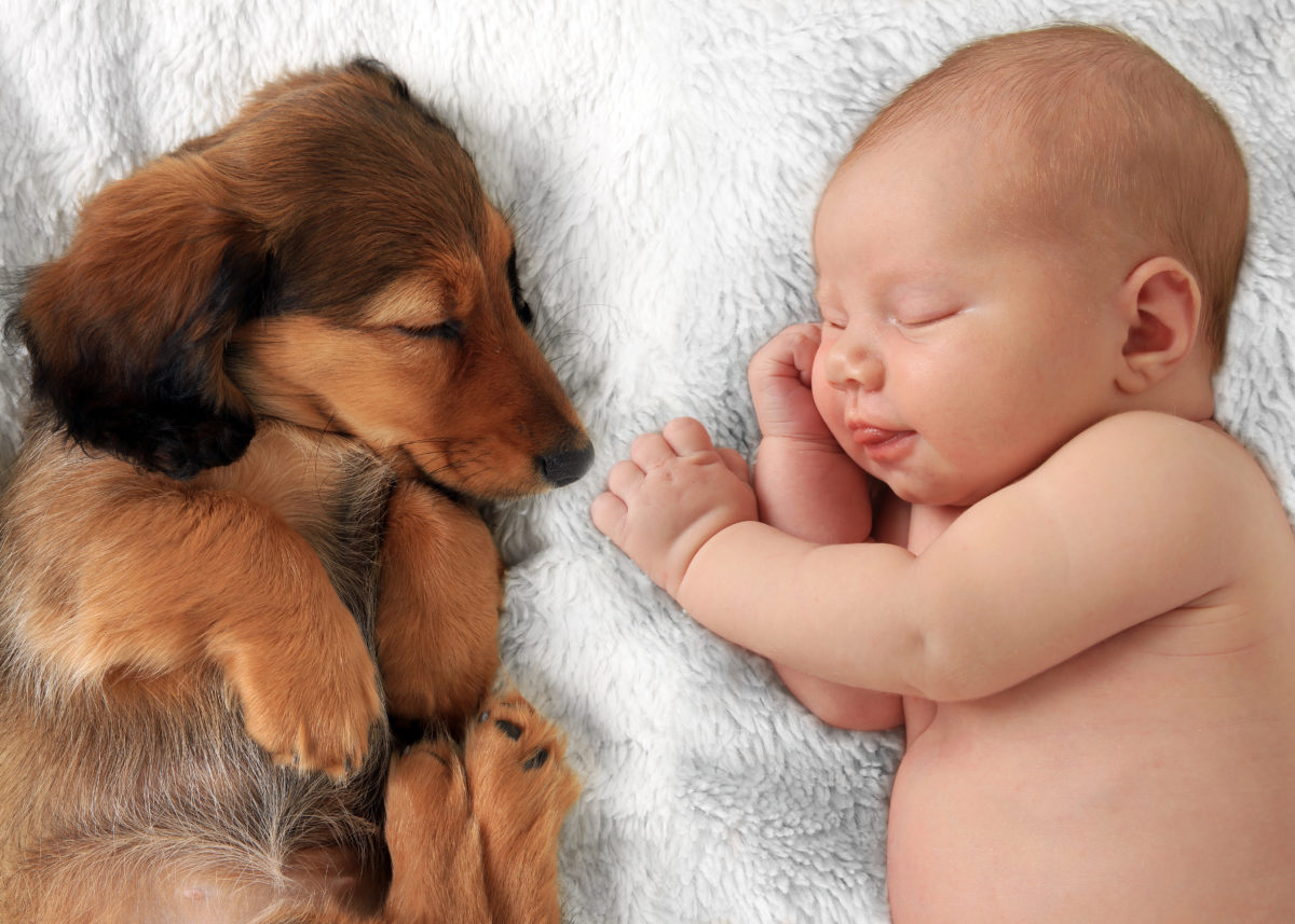 35 baby names for animal lovers