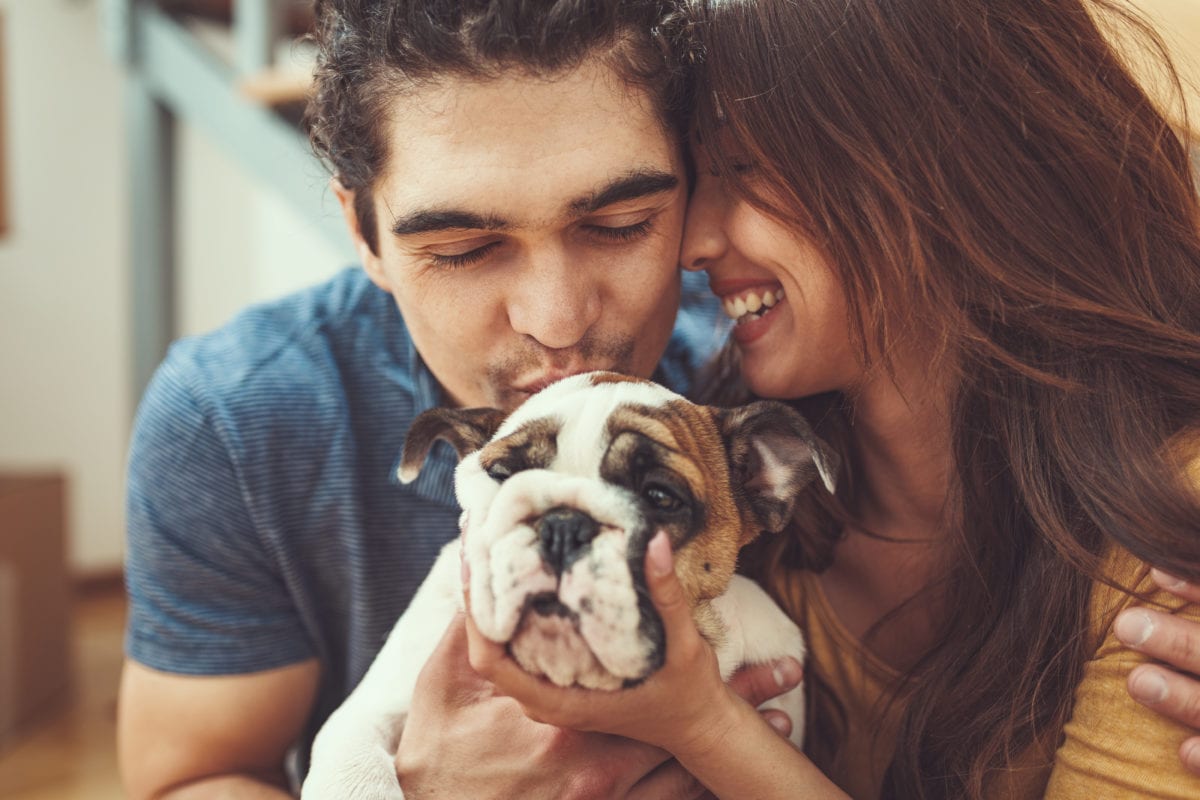 40 Percent Of People Admit To Have Swiped Right On Their Dating Apps Just So They Could Meet A Dog