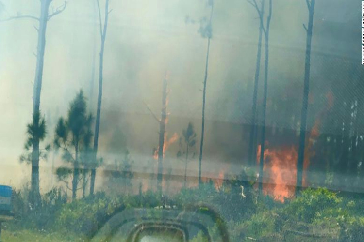 When Gender Reveals Go Wrong: The 10-Acre Fire in Florida Edition