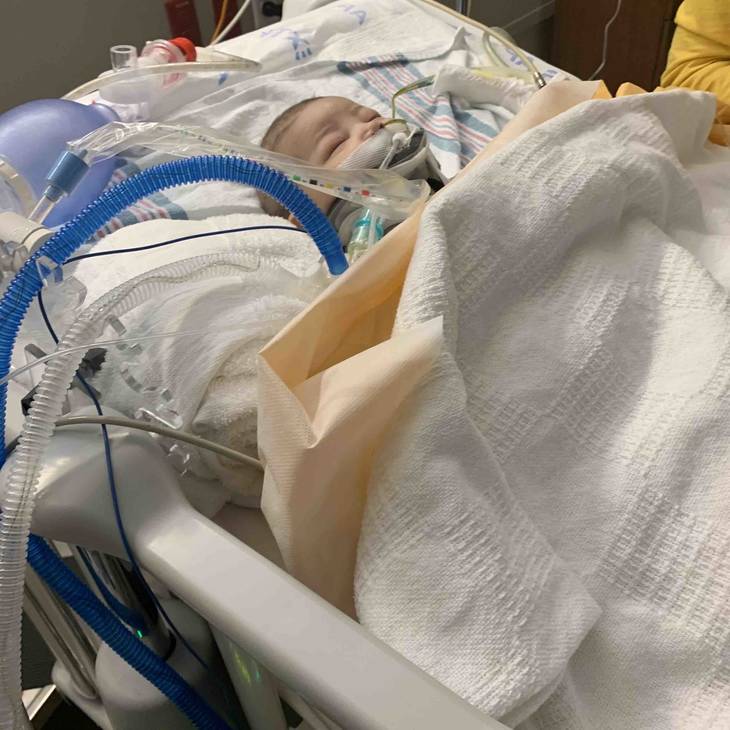a texas newborn is fighting for his life after he was allegedly shot in the chest by his mother's boyfriend