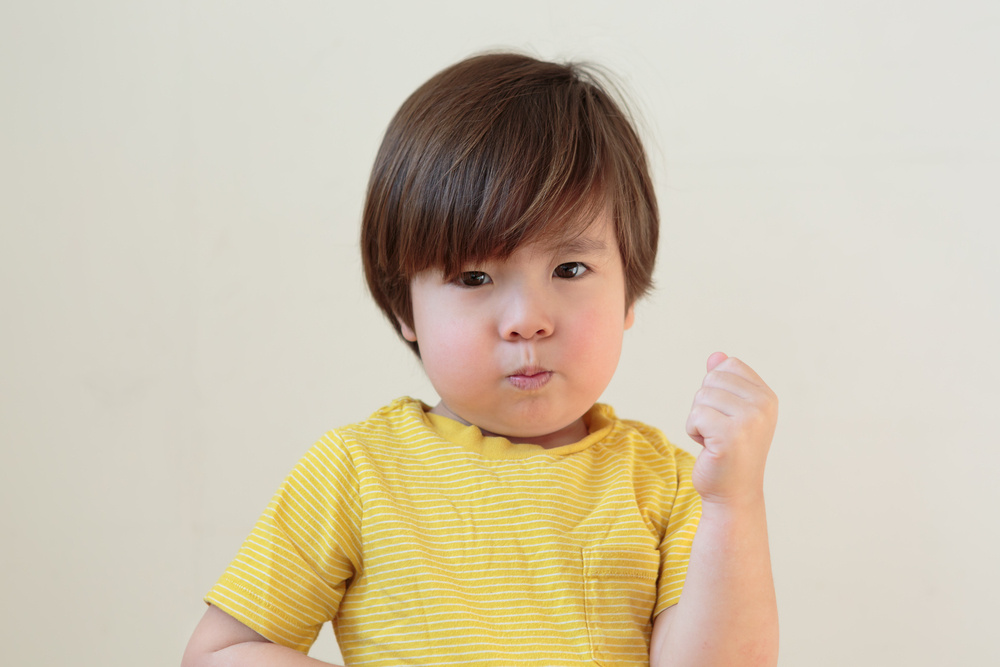 how do i stop my two-year-old toddler from hitting his parents when angry?