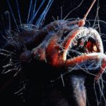 25+ Bizarre Sea Creatures that Will Scare You Out of the Ocean Forever