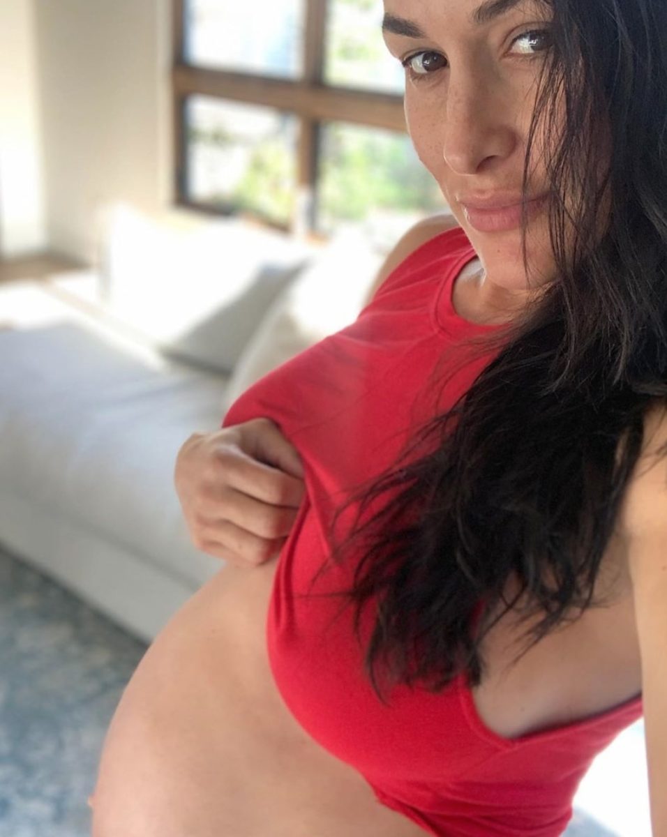 Nikki Bella Reveals In Pregnancy Update On Baby Bump