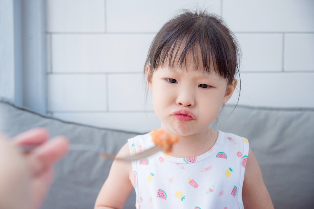 My Toddler Isn't Much of a Meat-Eater and Is Very Picky in General: Advice?