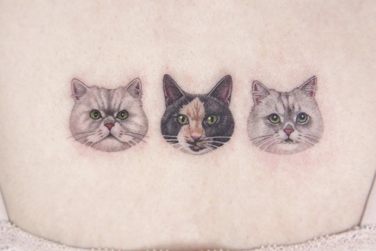 25 cute cat tattoos, introducing the 'cattoo'