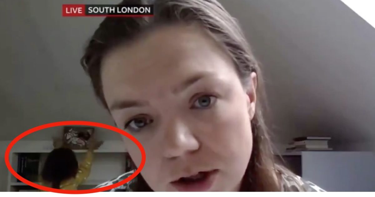 Young Daughter Crashes Her Mom's BBC Interview and Now People Think She Should Have Her Own Interior Design Show