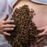 'This Photo Represents So Much More': Pregnant Mom's Pregnancy Shoot Which Features Thousands of Bees Goes Viral