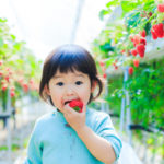 25 Adorable Japanese Baby Names for Girls