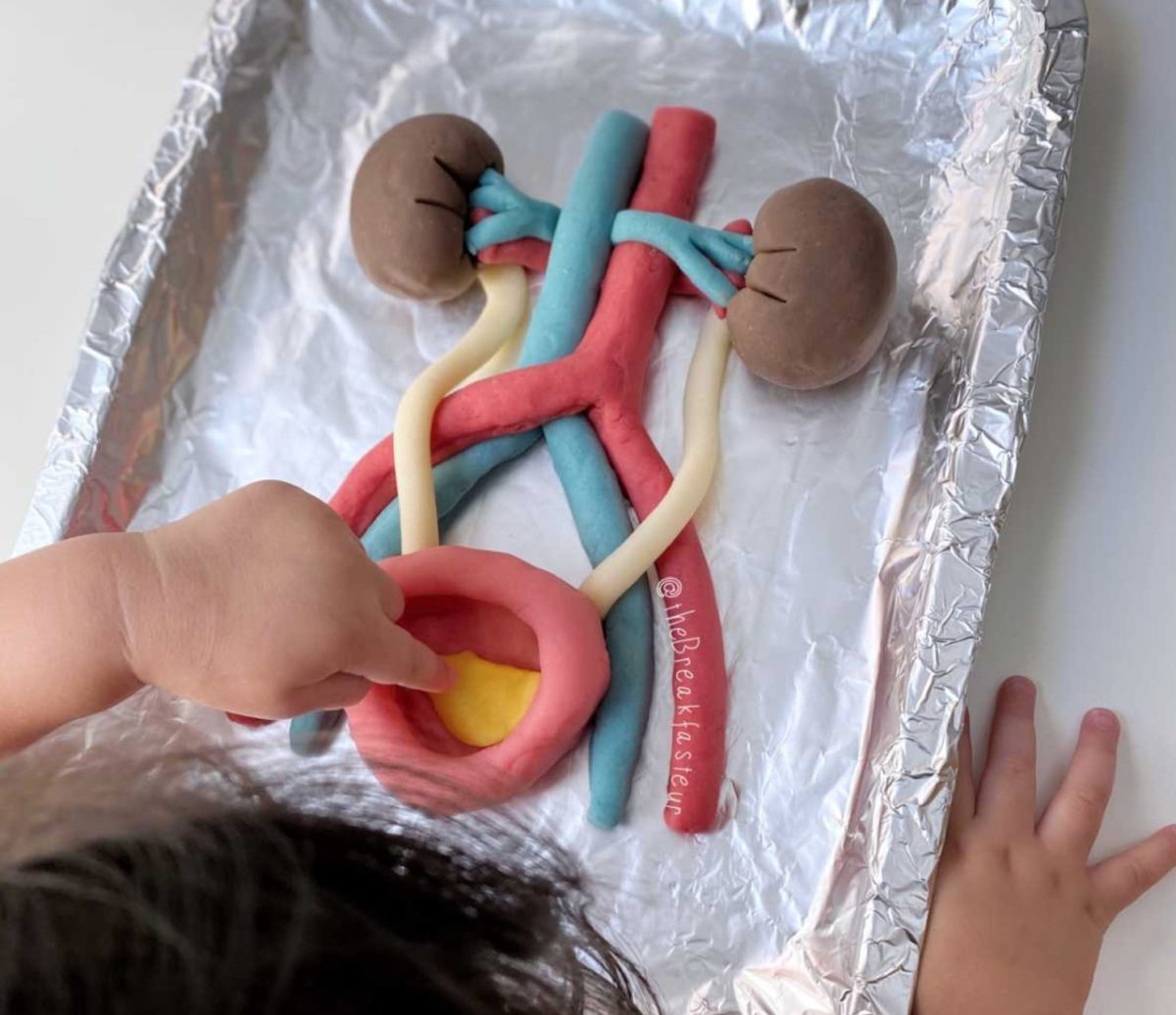 Mom Creates 'Play-Doh Surgeries' For 3-Year-Old Son