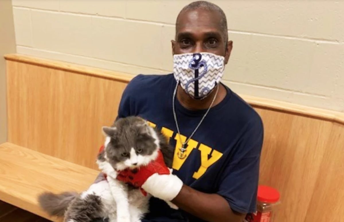 man reunites with lost cat at animal shelter