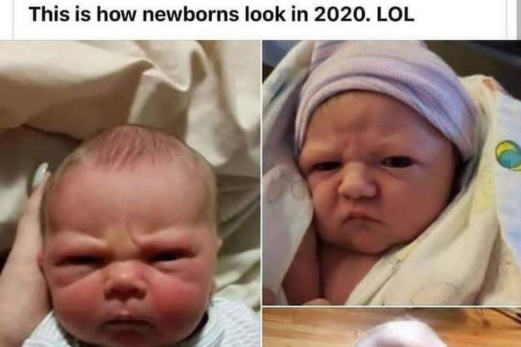 13 baby memes that prove they're secretly the funniest humans of all