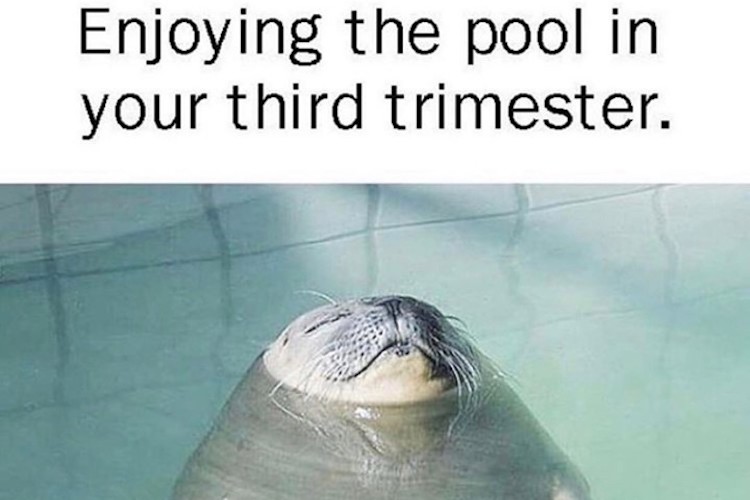 15 very funny pregnancy memes about the not-so-funny parts of being pregnant