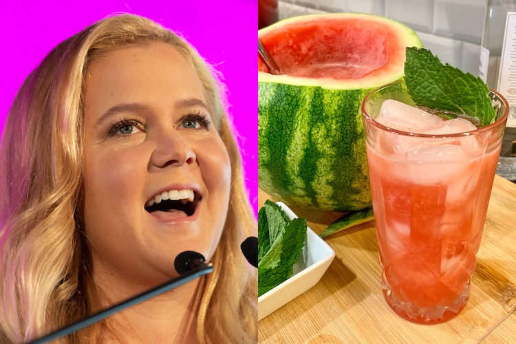 amy schumer's watermelon vodka punch bowl is festive with only 3 simple ingredients