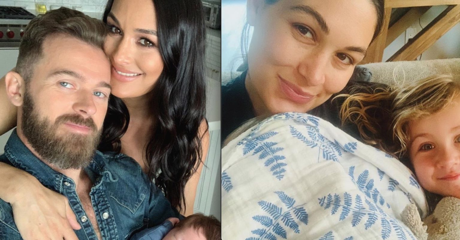 Meet WWE Twins' Nikki And Brie Bella's Baby Boys