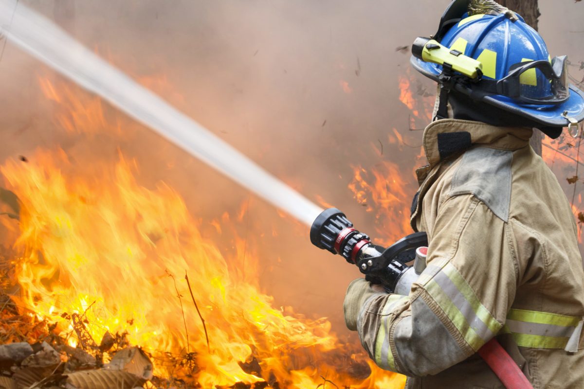 firefighter dies after battling gender-reveal wildfire 