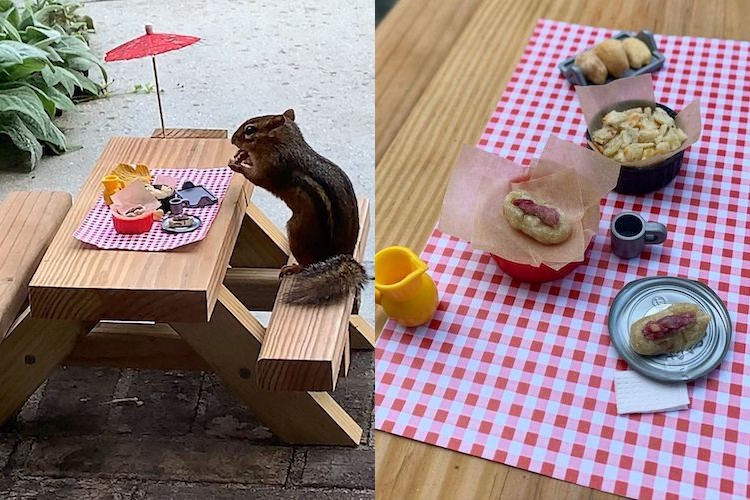 The restaurant for a chipmunk features a bar and picnic table, and serves pizza, sushi and the silly joy we all need right now.