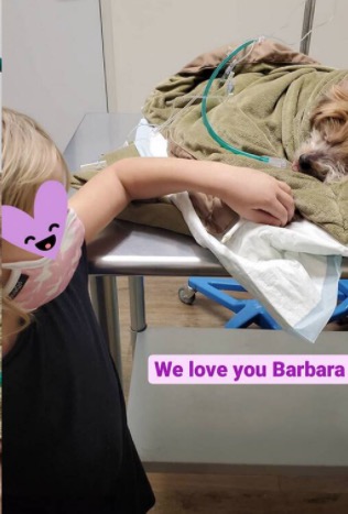 kristen bell and daughters say goodbye to beloved family dog named barbara 