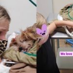 Kristen Bell and Daughters Say Goodbye to Beloved Dog Named Barbara with Heartfelt Tribute