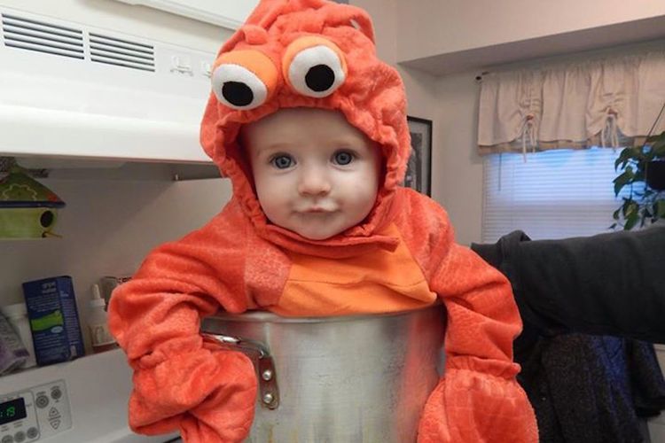 Should You Dress Your Child as a Lobster and Pretend to Cook Him? Debate Rages On
