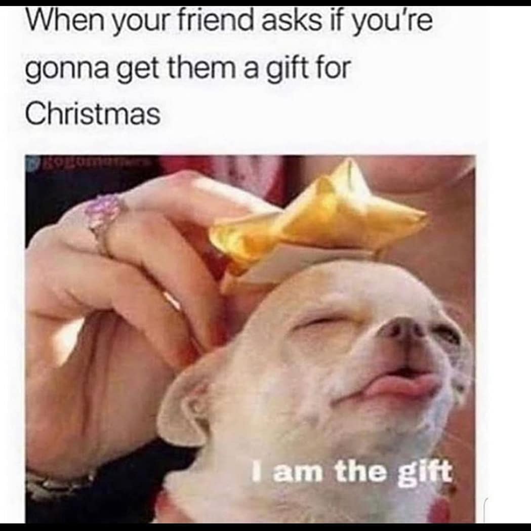 25 Funny Memes to Get Us Through the Holidays