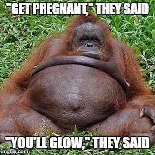  Funny Pregnancy Memes