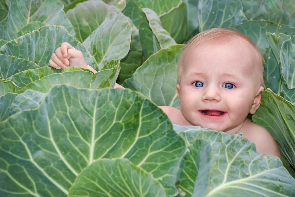 25 Cute Cottagecore Baby Names for Boys That Celebrate the Humble Pleasures of Rural Life