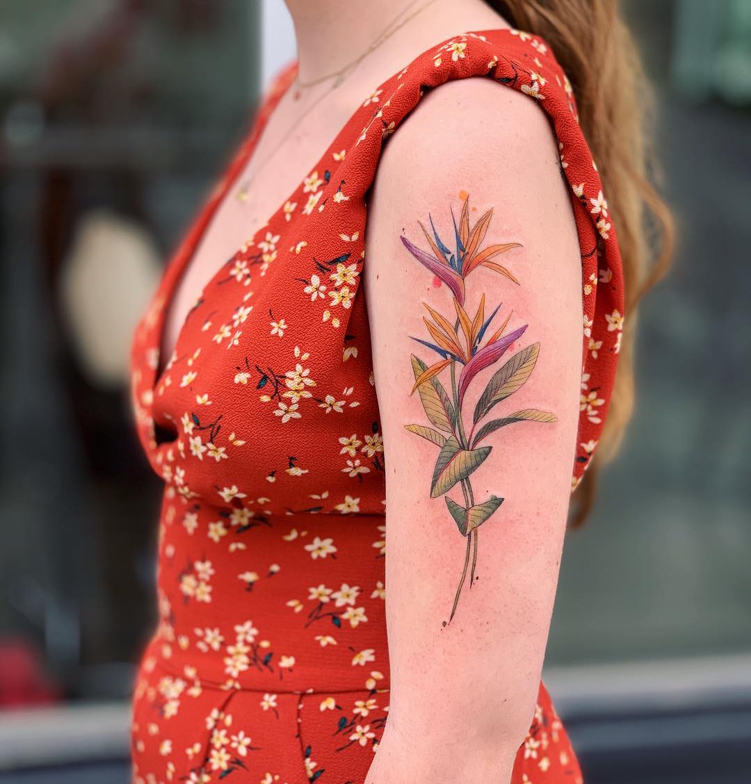 25 Herbaceous Plant Tattoos That Plant Parents Will Love