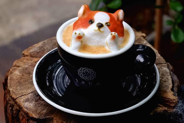 The 25 Most Adorable Latte Art Designs That You Will Ever See