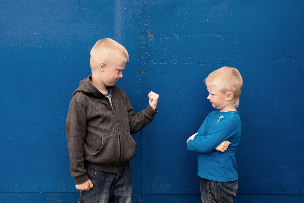My 3-Year-Old Son Is Bullying a Nonverbal Boy We Live With: How Can I Teach Him Not to Be a Bully?