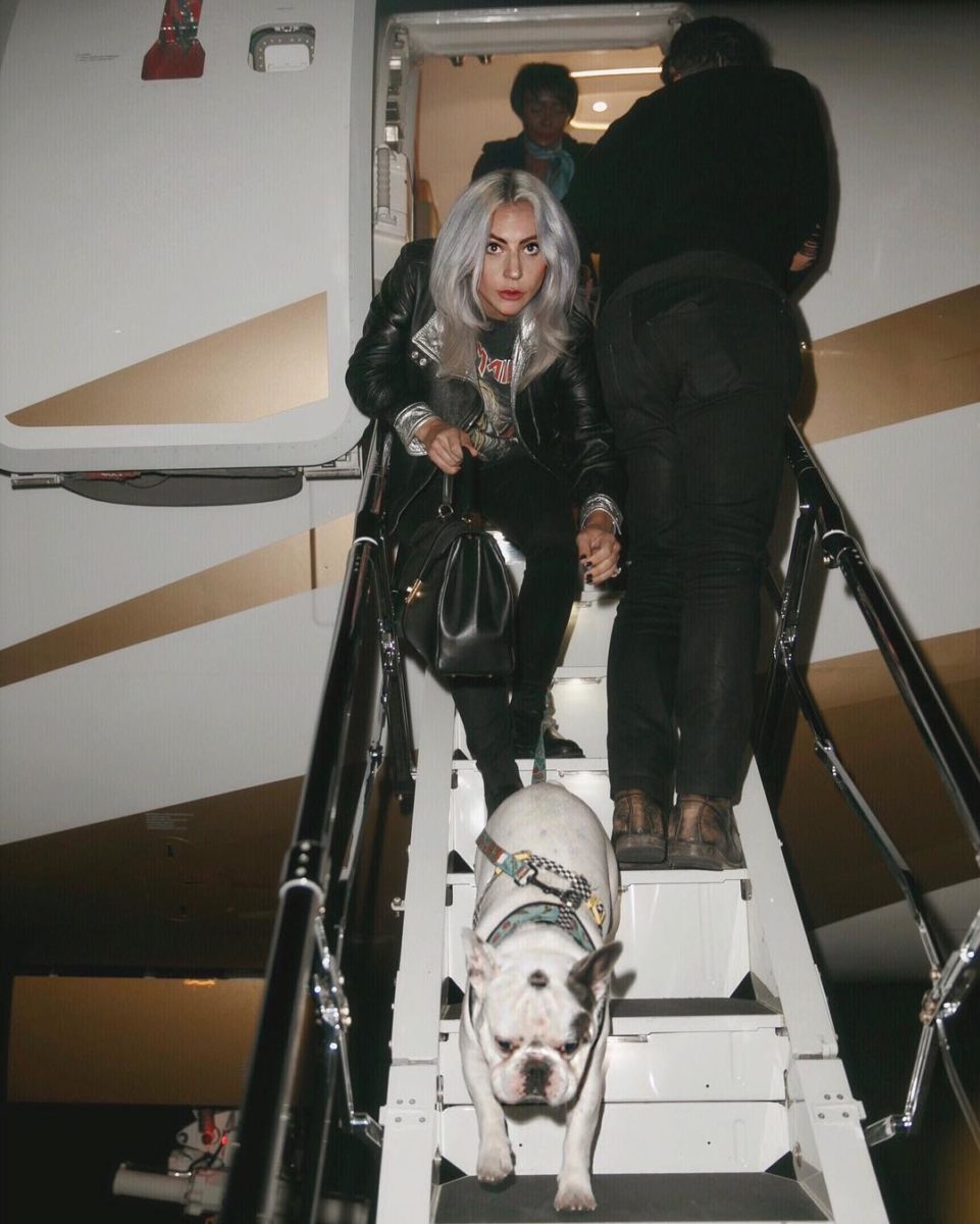Lady Gaga's Dogs Returned & Her Dogwalker Comments for the First Time Since the Violent Robbery