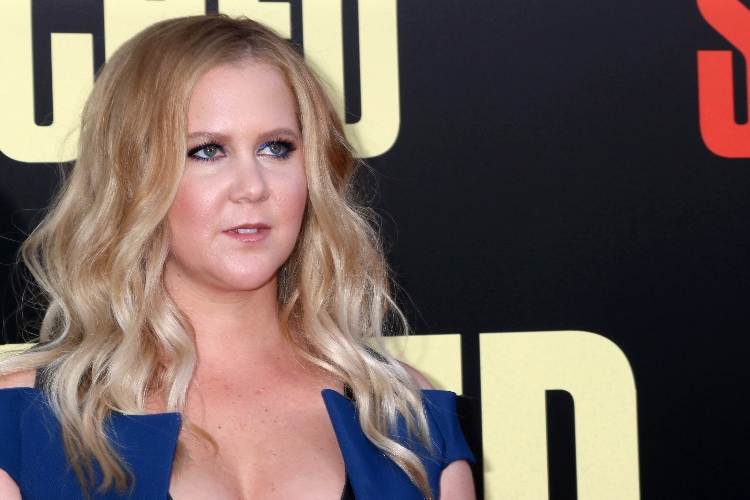 amy schumer is asking for advice after losing nanny