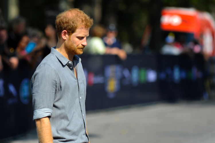 Prince Harry Remembers Diana's Death in New Book for Children Who Have Lost Their Parents