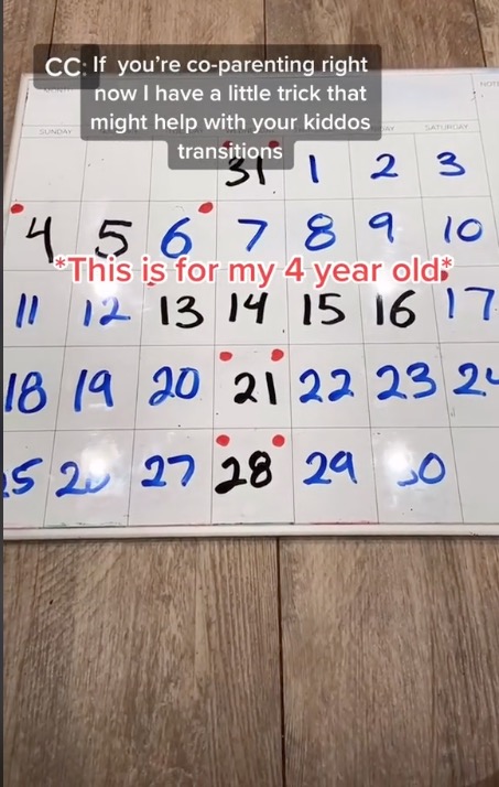 Mom's Viral Video Shows Clever Way to Explain Co-Parenting Schedule to Kids