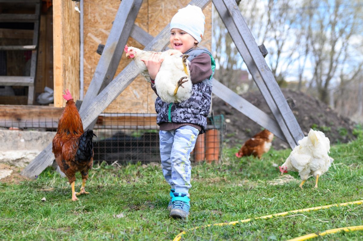 Oklahoma Toddler Gets Rescued From Chicken Coop: I Was Fine