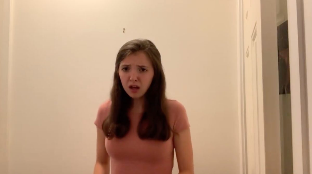 TikTok Teen Goes Viral Reading Her College Admissions Essay