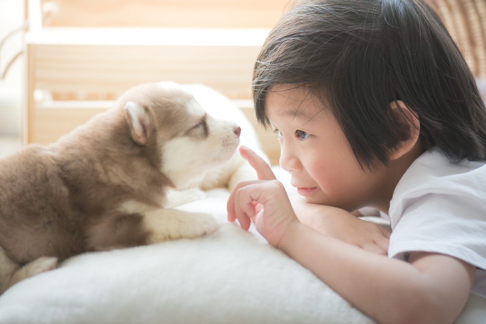 Parents Say Pets Have Helped Their Kids Throughout Pandemic by Reducing Stress & Promoting Activity, New Survey Finds