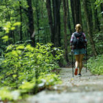 'Take A Hike': Doctors Prescribe Natural Walks To Treat Depression and Chronic Illness